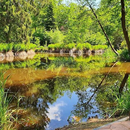 Midden In De Friese Bossen Op Landgoed Princenhof Oranjewoud Esterno foto