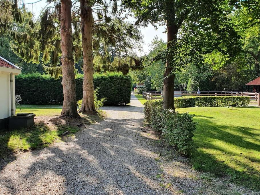 Midden In De Friese Bossen Op Landgoed Princenhof Oranjewoud Esterno foto