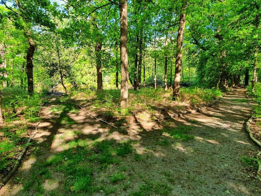 Midden In De Friese Bossen Op Landgoed Princenhof Oranjewoud Esterno foto