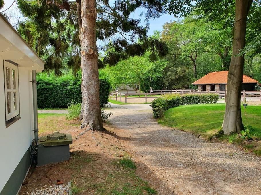 Midden In De Friese Bossen Op Landgoed Princenhof Oranjewoud Esterno foto