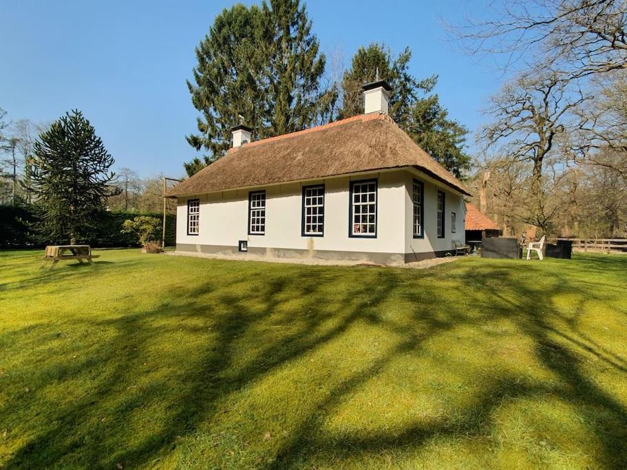 Midden In De Friese Bossen Op Landgoed Princenhof Oranjewoud Esterno foto