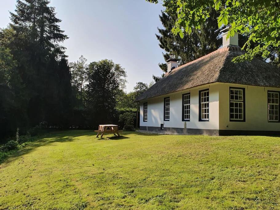 Midden In De Friese Bossen Op Landgoed Princenhof Oranjewoud Esterno foto