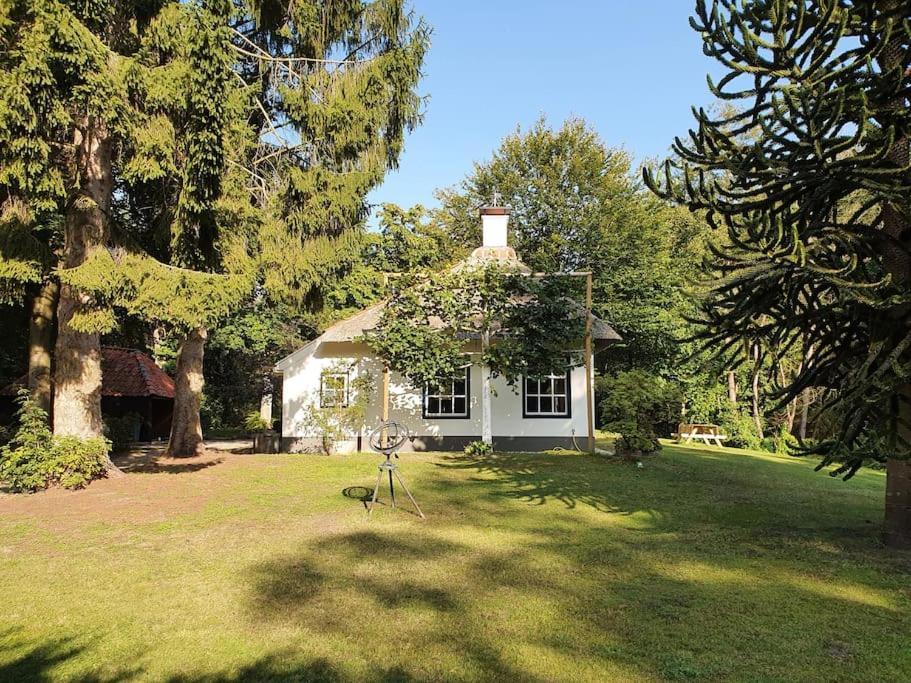Midden In De Friese Bossen Op Landgoed Princenhof Oranjewoud Esterno foto