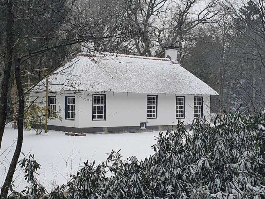 Midden In De Friese Bossen Op Landgoed Princenhof Oranjewoud Esterno foto