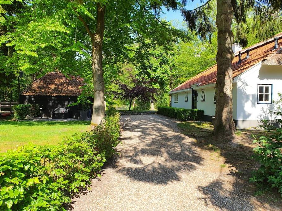 Midden In De Friese Bossen Op Landgoed Princenhof Oranjewoud Esterno foto