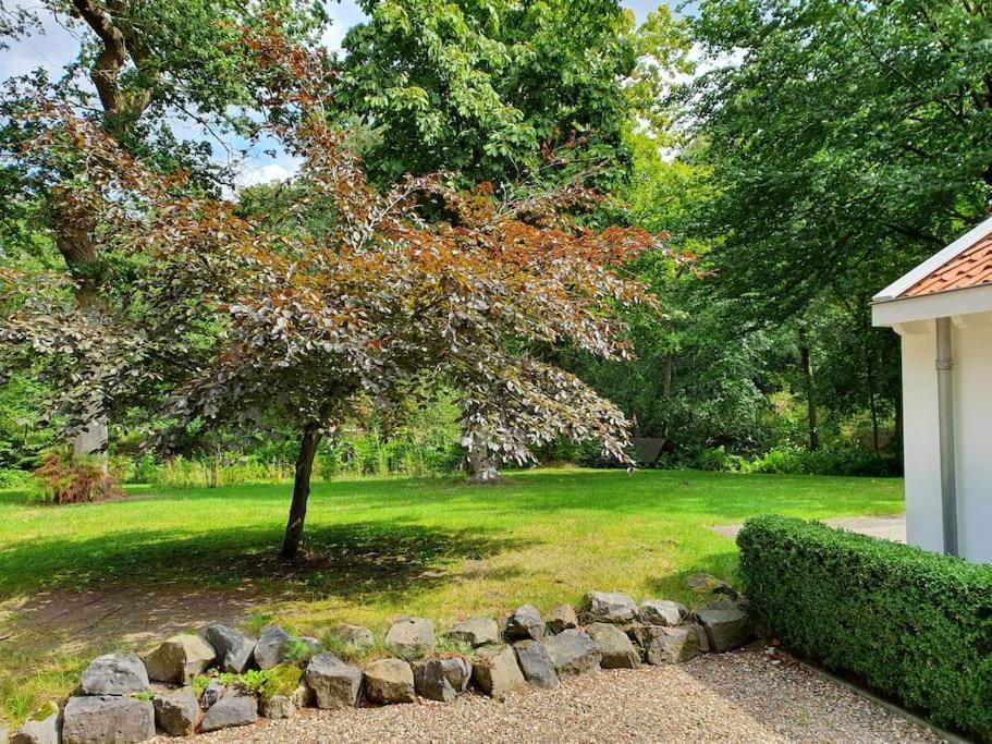 Midden In De Friese Bossen Op Landgoed Princenhof Oranjewoud Esterno foto