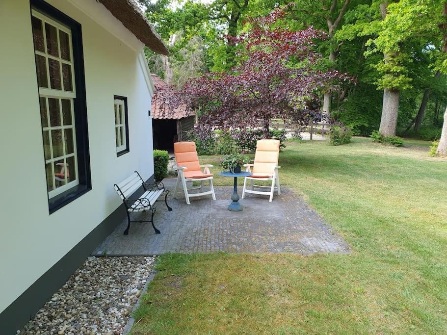 Midden In De Friese Bossen Op Landgoed Princenhof Oranjewoud Esterno foto