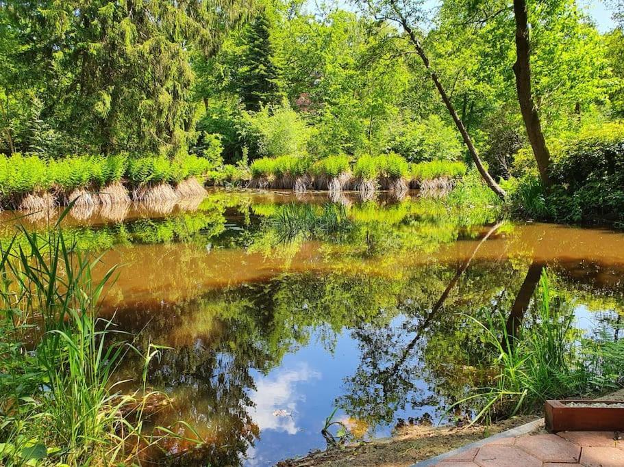 Midden In De Friese Bossen Op Landgoed Princenhof Oranjewoud Esterno foto