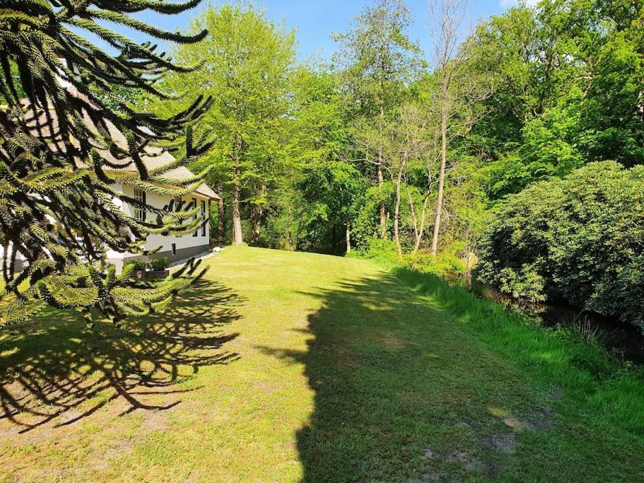 Midden In De Friese Bossen Op Landgoed Princenhof Oranjewoud Esterno foto