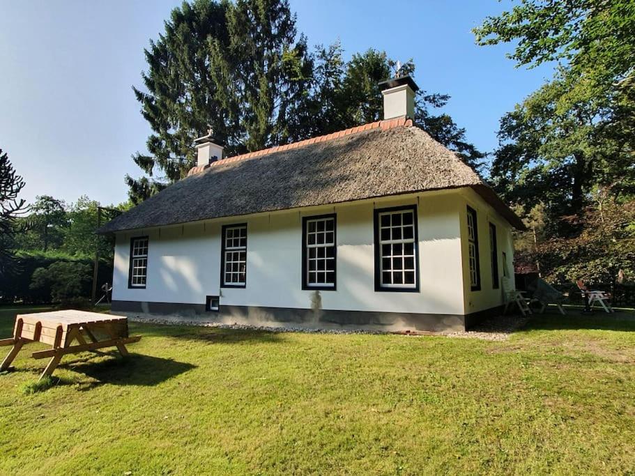 Midden In De Friese Bossen Op Landgoed Princenhof Oranjewoud Esterno foto