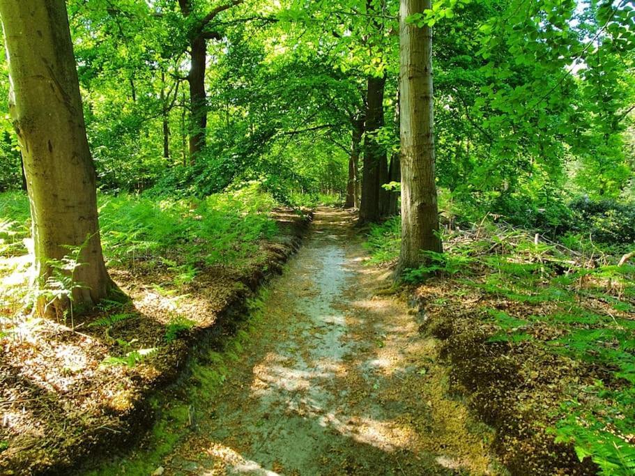 Midden In De Friese Bossen Op Landgoed Princenhof Oranjewoud Esterno foto