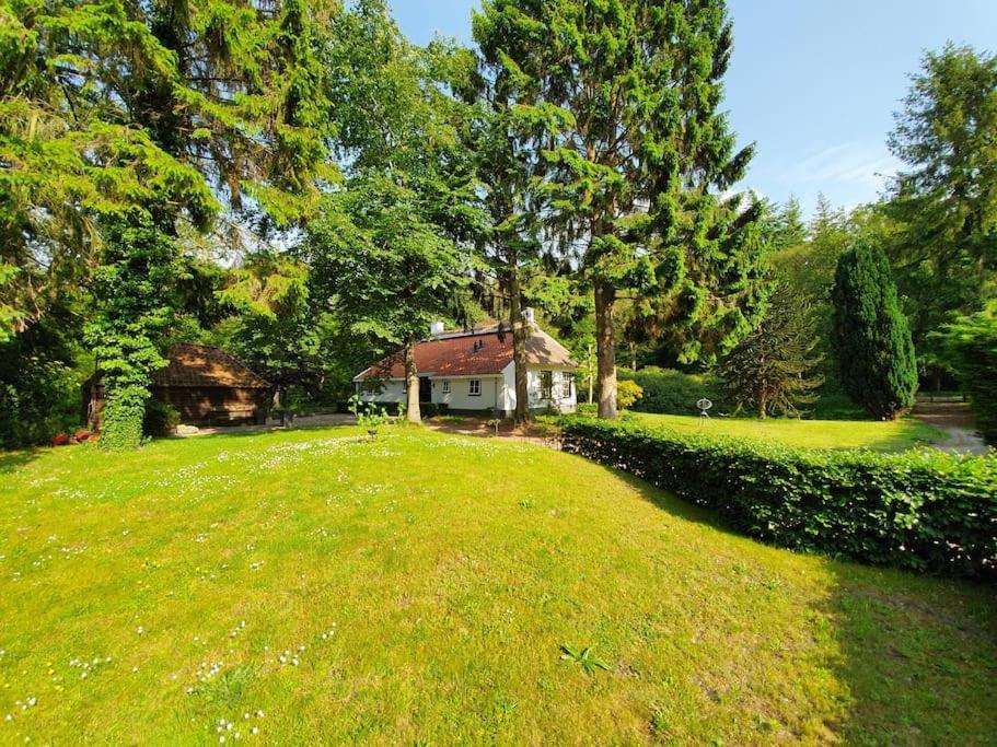 Midden In De Friese Bossen Op Landgoed Princenhof Oranjewoud Esterno foto